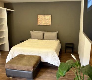 Metepec Apartamento | Condesa Metepec loft y jardín