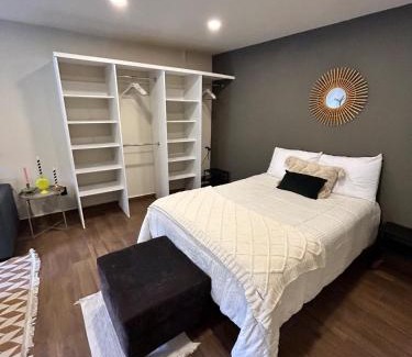 Metepec Apartamento | Condesa Metepec loft y jardín