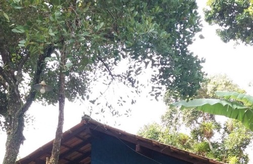 Arraial d'Ajuda Chalet De Esquí | Condominio Hospedes da Terra - Chalet en un condominio cerca del centro