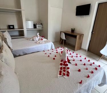 Arrecife Hotel | Condominios JAROJE