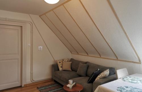 Mulhouse Apartamento | Confort, idéalement situé, 2 chambres en enfilade, parking gratuit, tram-train, proche autoroute