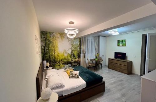 Alba Iulia Apartamento | Confort Studio