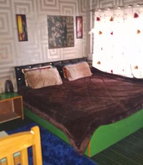 Srinagar Casa | Conifer view guest house