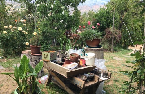 Olmue Casa | Conéctese con el bosque nativo Chileno