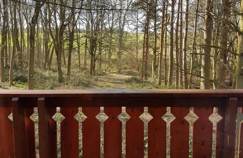 Louth Cabina | Connie Cottage (Log Cabin), Kenwick Park Woods, nr Louth, Lincolnshire