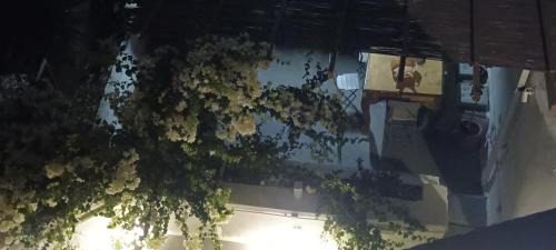 Megalochori Casa | Constantis Mansion