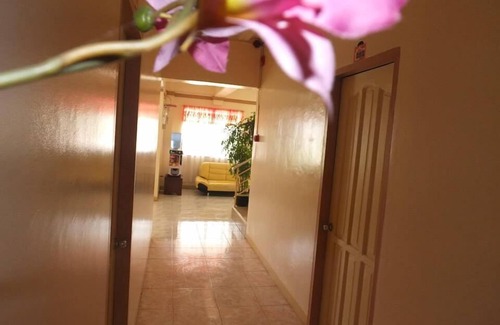 Cogon Hotel | Constrell Pension House