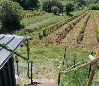 Massillargues-Attuech Apartamento | Conteneur avec spa privé face aux vignes