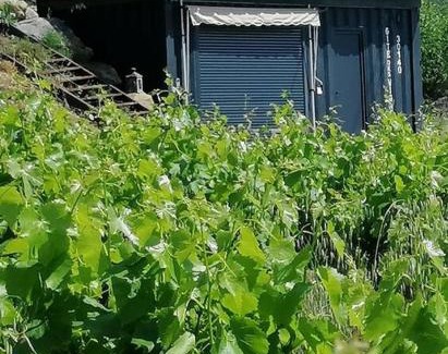 Massillargues-Attuech Apartamento | Conteneur avec spa privé face aux vignes