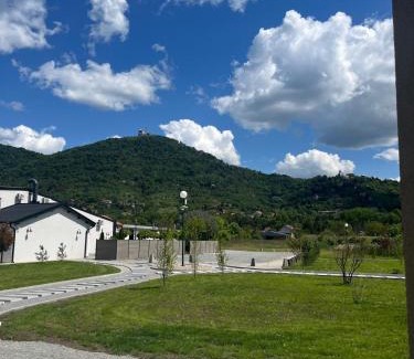 Vrsac Apartamento | Conty