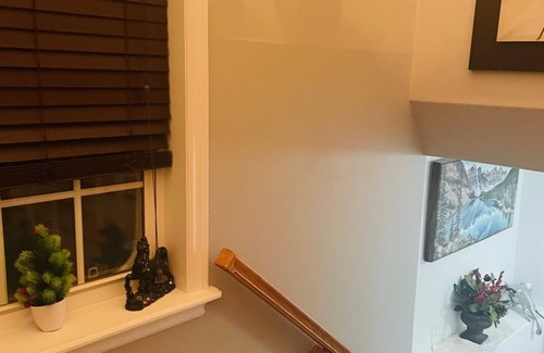 Dartmouth Casa | Cool and Calm neighbourhood. Minutes away from everything. groceries, you want