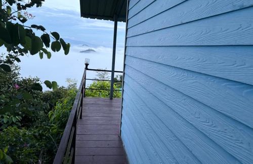 Than To Complejo | COOL CAMPING-blue room