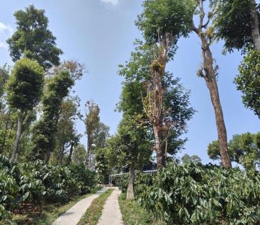 Somvarpet Casa | Coorg Countryside 1BHK
