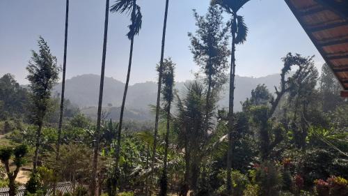 Madikeri Casa | Coorg Milestone Homestay
