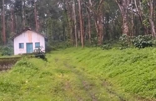 Suntikoppa Casa | coorg Namana homestay