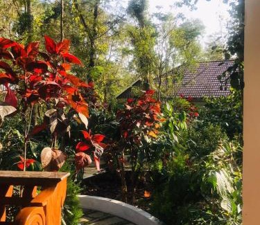 Somvarpet Complejo | Coorg Orange Blossom Resort and Spa