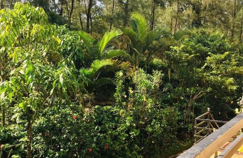Madikeri Casa | Coorg West End Home Stay