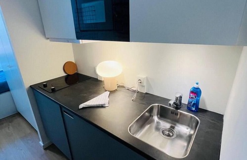 København NV Apartamento | Copenhagen Studio with Double Bed and Kitchen 2