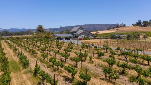 Sonoma Casa | Coplan Vineyards by AvantStay 10-Acre Estate w Pool Spa Bocce Designer Interiors