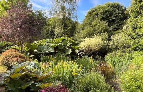 County Cavan Casa | Copper Cove Cottage