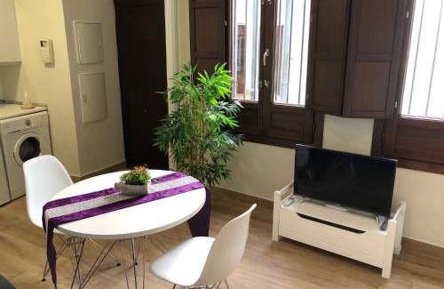 San Pedro Apartamento | Coqueto apartamento céntrico