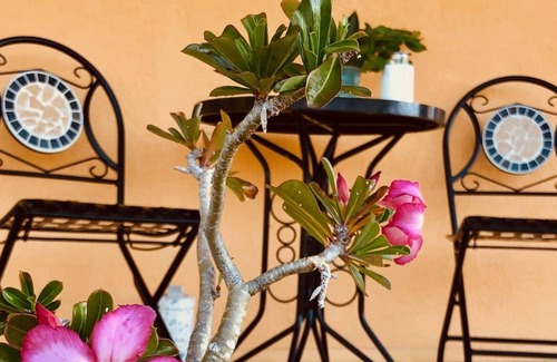 Upper Carolina Casa | Coral Livin ': disfruta de las vistas, las suaves brisas y el encanto de Coral Bay