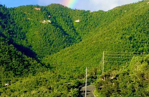 Upper Carolina Casa | Coral Livin ': disfruta de las vistas, las suaves brisas y el encanto de Coral Bay