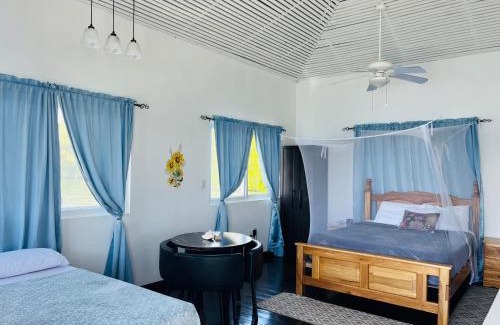 Isla Bastimentos Apartamento | Coral Wing Casitas
