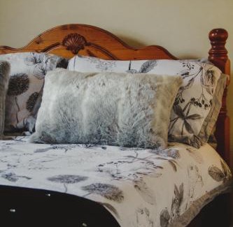 Ardara Casa | corby house