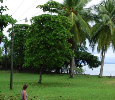Puerto Jimenez Cabina | Corcovado Beach Lodge