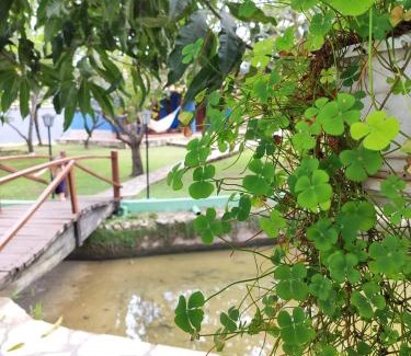 Davidopolis Chalet De Esquí | Cores do Cerrado - chalés e suítes
