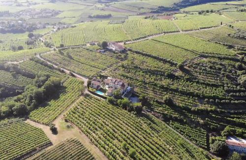 Soave Casa | Corte dei Soavi
