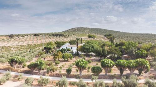 Cabra Casa | Cortijo Don Simón
