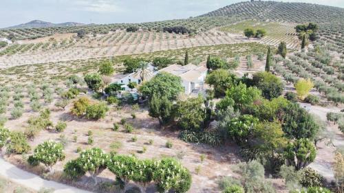 Cabra Casa | Cortijo Don Simón