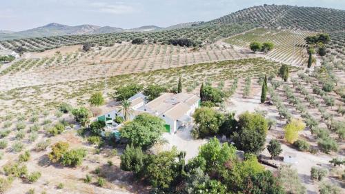 Cabra Casa | Cortijo Don Simón