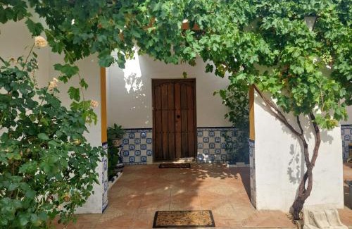 Puerto de Bejar Casa | Cortijo Las Cruces Guillena - Sevilla
