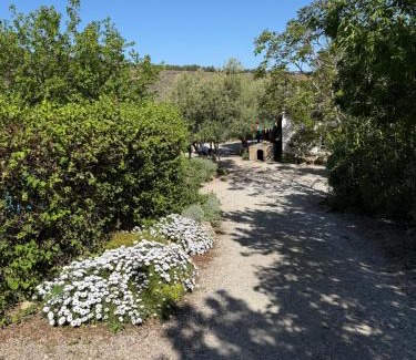 Monachil Chalet De Esquí | Cortijo Loma del Estanque