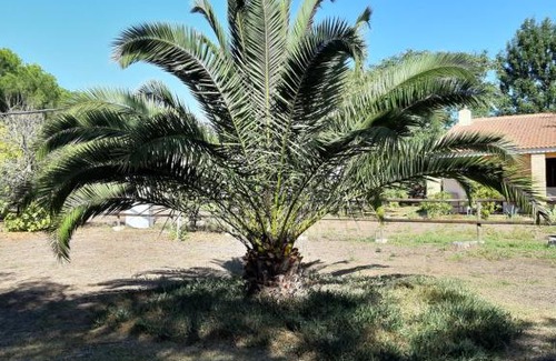 Lucena del Puerto Casa | Cortijo los Conquistadores Vakantiehuis