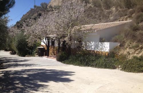 Barrio de la Vega Apartamento | Cortijo Pilongo