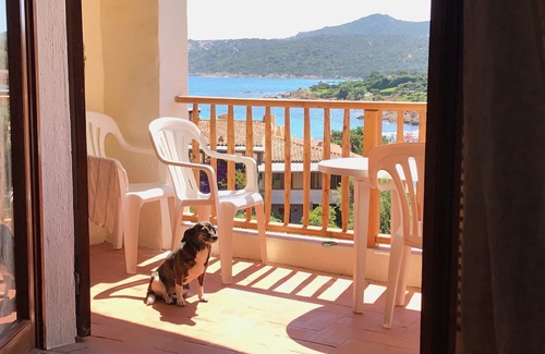 Porto Cervo Apartamento | Costa Esmeralda Porto Cervo Piccolo