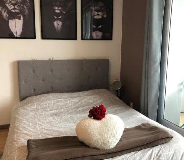 Haguenau Apartamento | Cosy-Adventure : Haguenau