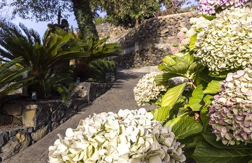 La Orotava Cabaña | Cosy and rustic farm house with pool, views, fresh and eggs.