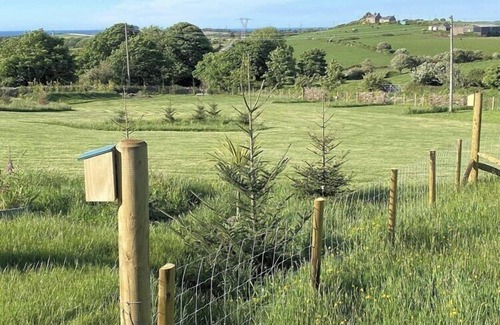 Cylch-Y-Garn Cabaña | Cosy annexe sleeps 4