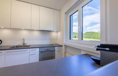 Champfer Apartamento | Cosy Apartment facing Piz Rosatsch