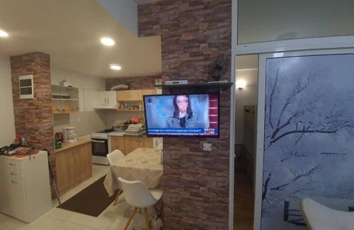 Mavrovo Apartamento | Cosy apartment in Mavrovo
