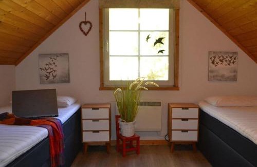 Userin Apartamento | Cosy apartment in Userin