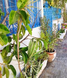 Sidi Bou Said Apartamento | Cosy Appartement in "Sidi Bou Said"