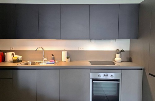 Viganello Apartamento | Cosy bilo close to the centre (Urban 1)