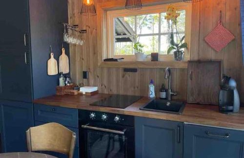 Treungen Chalet De Esquí | Cosy cabin between lake and mountain