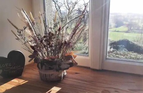 Lolif Cabaña | Cosy Cottage in the Countryside